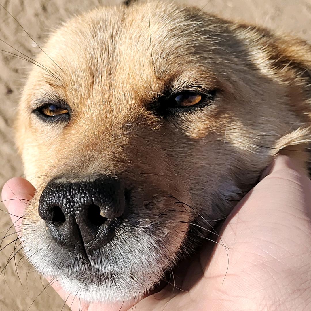 尚帝与你同在🦔