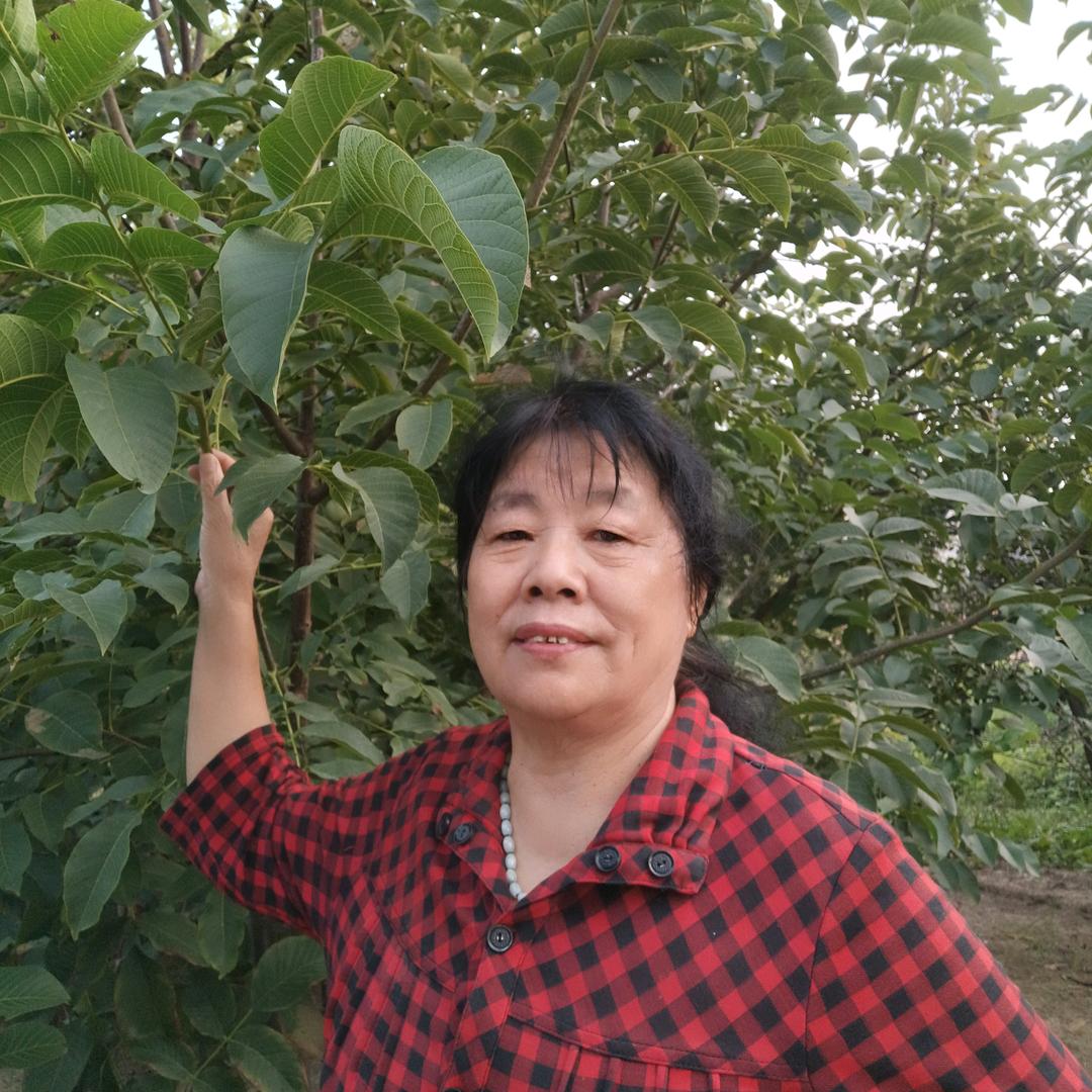 农村郭姐：