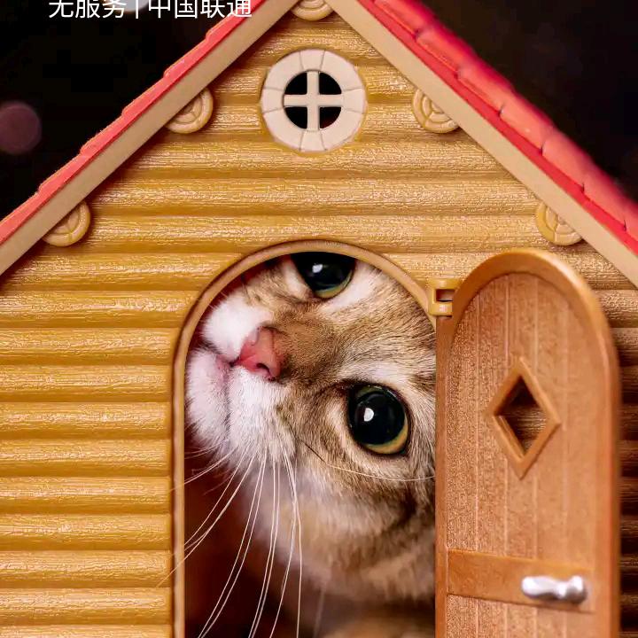 🌈🌈🌈花华🌈