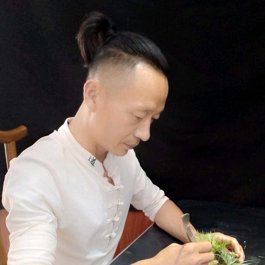 核果缘盆景课堂（宋愚老师）bonsai