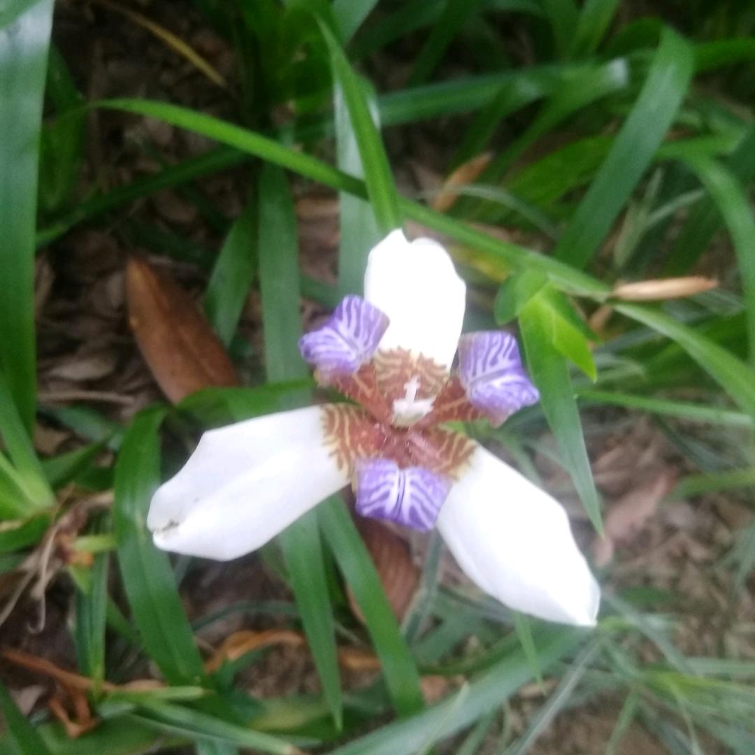 清醒一点