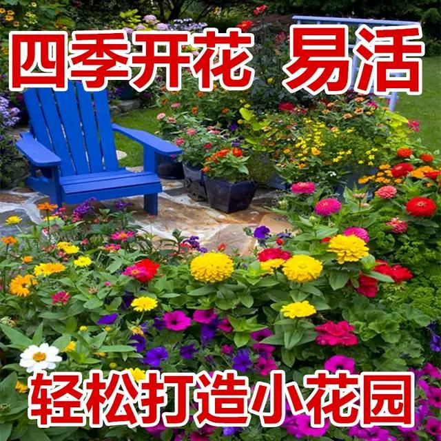 花哥