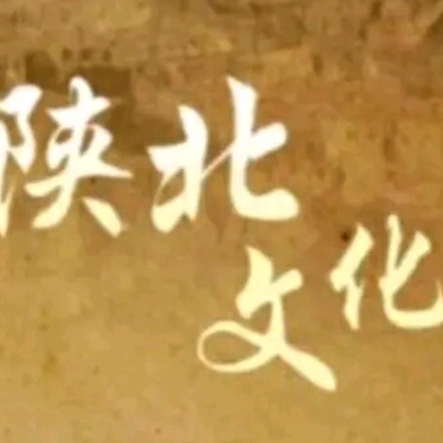 🎤阳冰🎤《卫梦蹦跑》