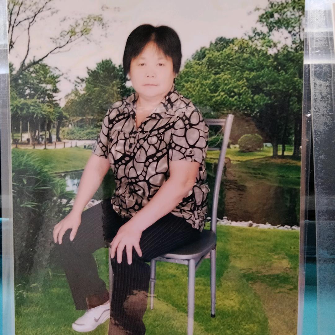 八月的虎