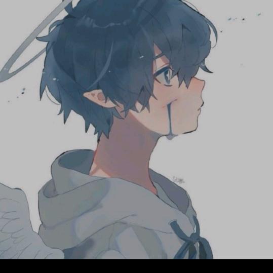 凉薄少年亦冷心