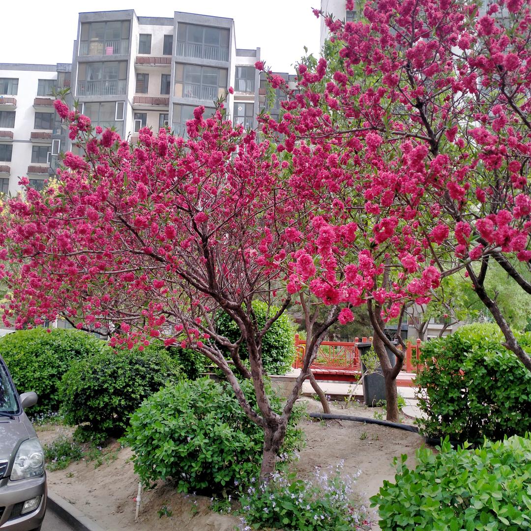 快乐的老头👴🏻