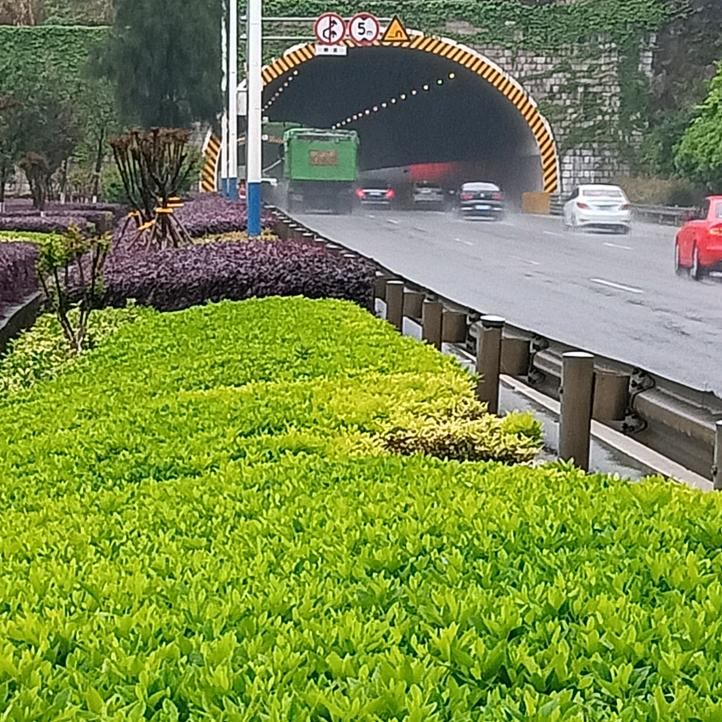 用户61189072