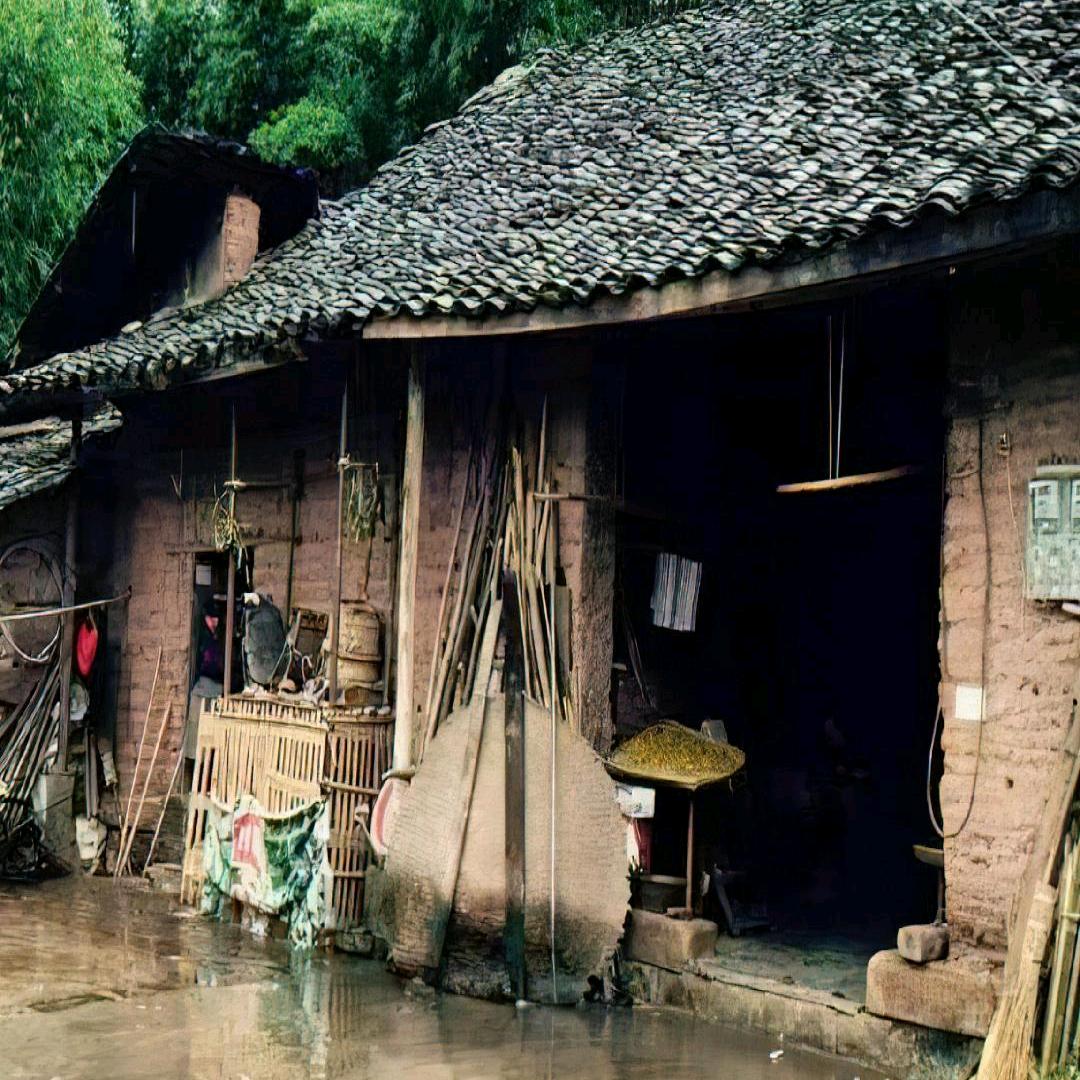 岁月坚辛