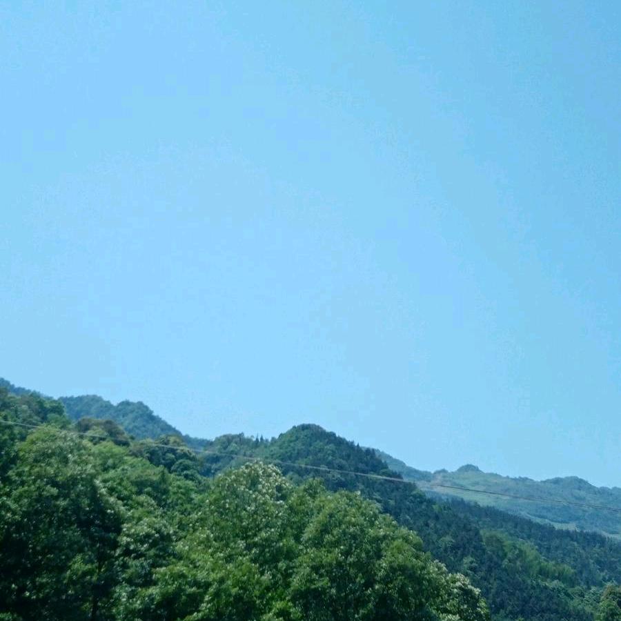 家有三宝₍˄·͈༝·͈˄*₎◞ ̑̑