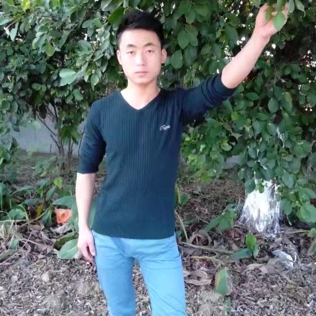 太阳