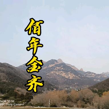 济南小齐二手车 批发