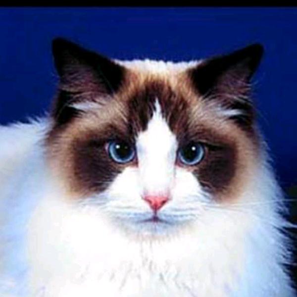 夏天的空调真凉快