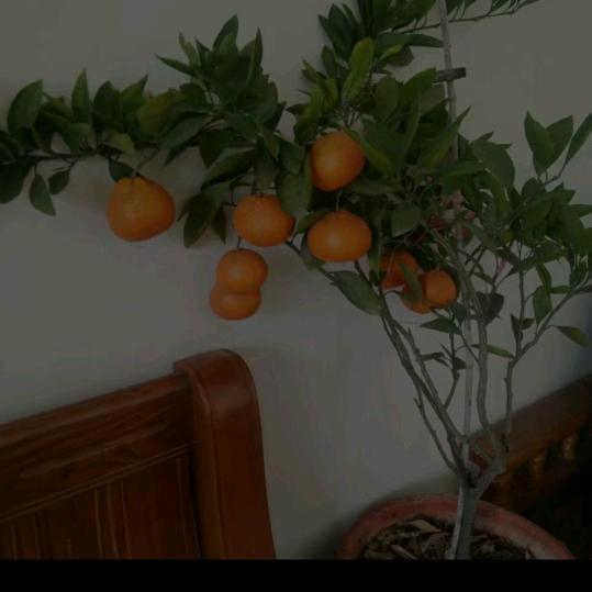 卡车司机强哥🚚🚚🚚🚚