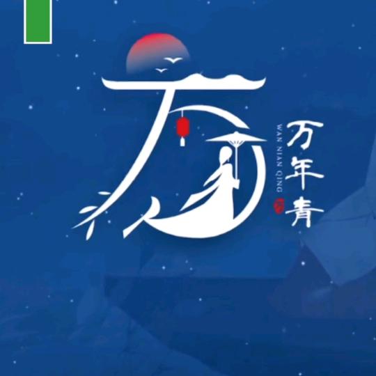 磊成