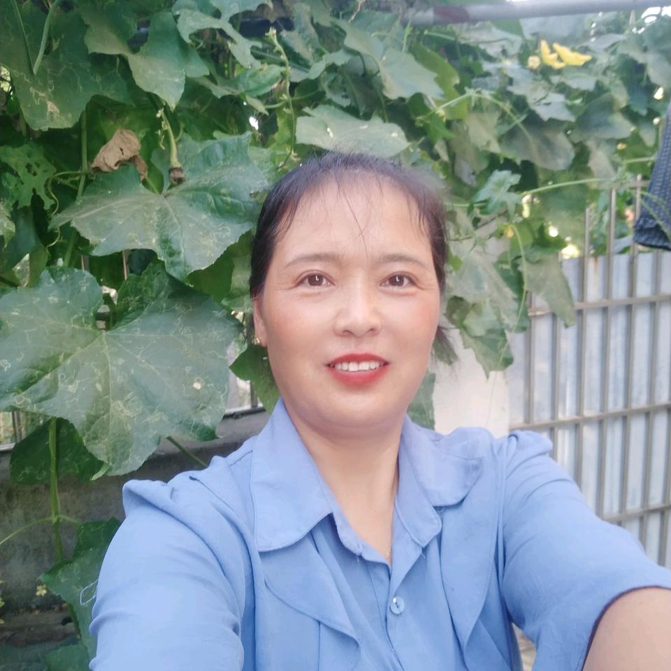 杨姐🌹