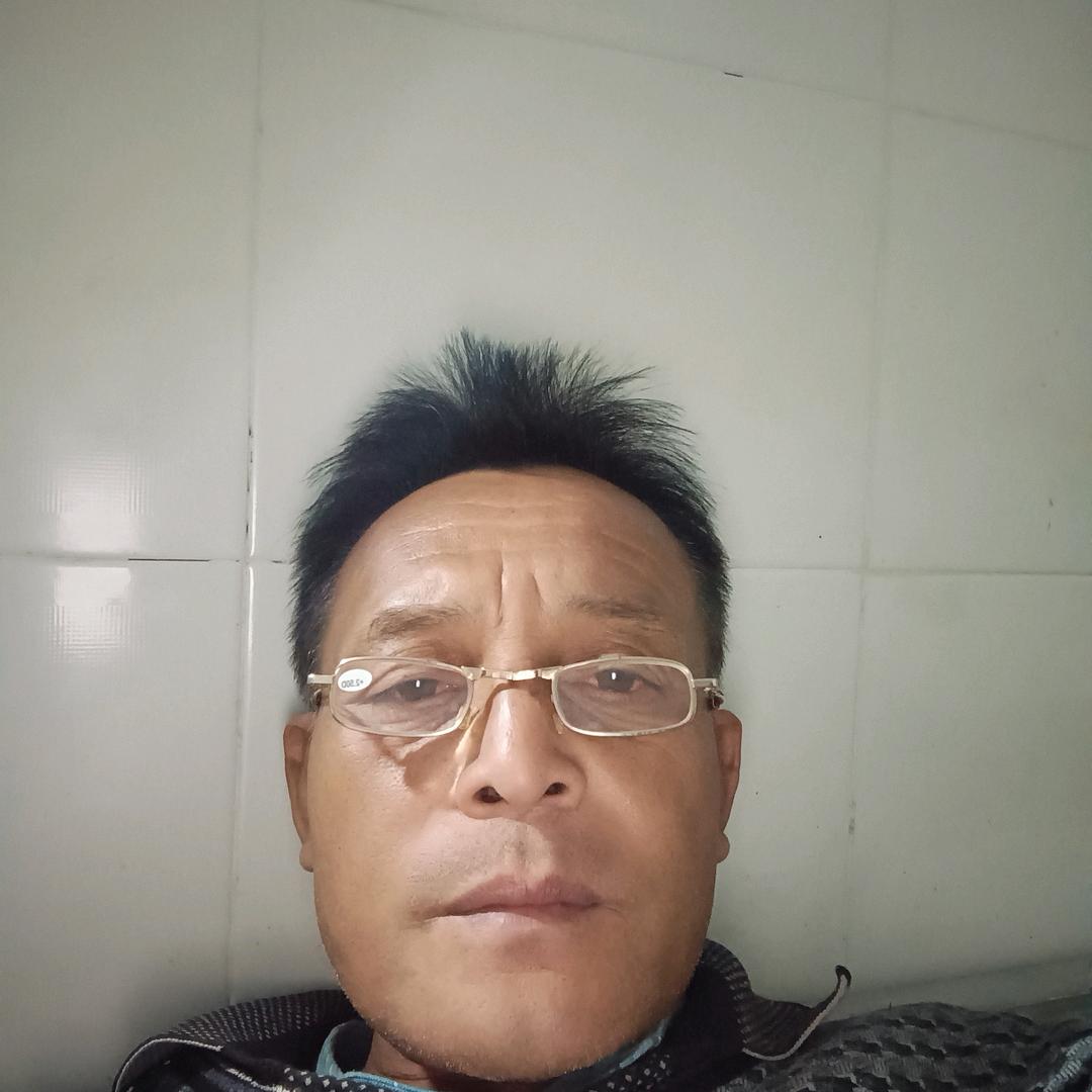 傻的可爱