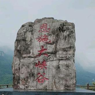 逝去的诺言