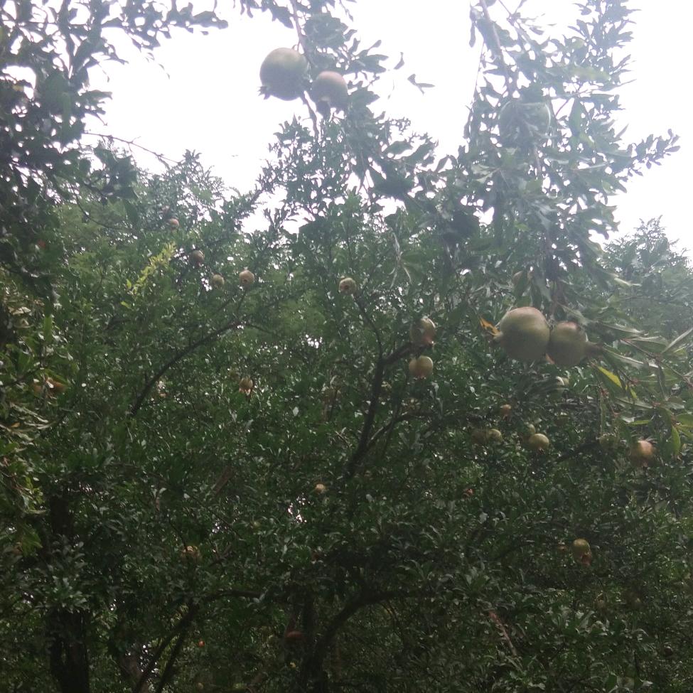 幸福是在一起！