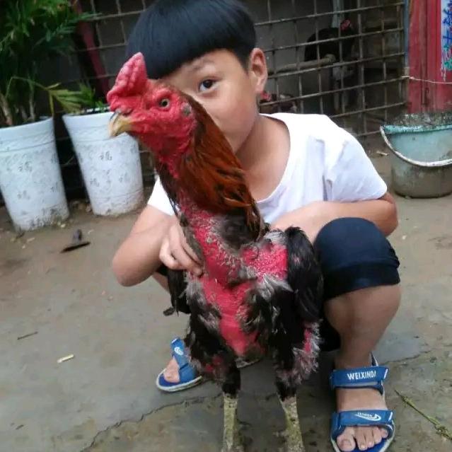 港区刘超