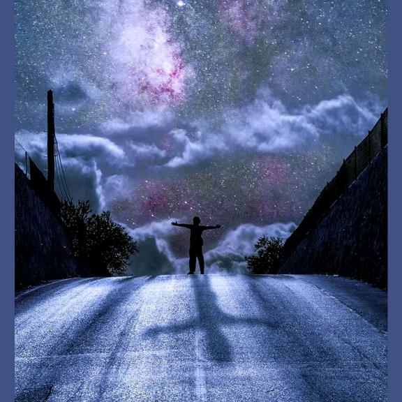 （敬晰生鲜）我是卖🐔的