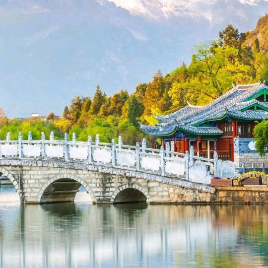 珠江老四leungpokeung