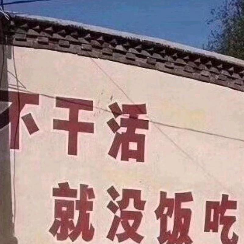 哦哦好