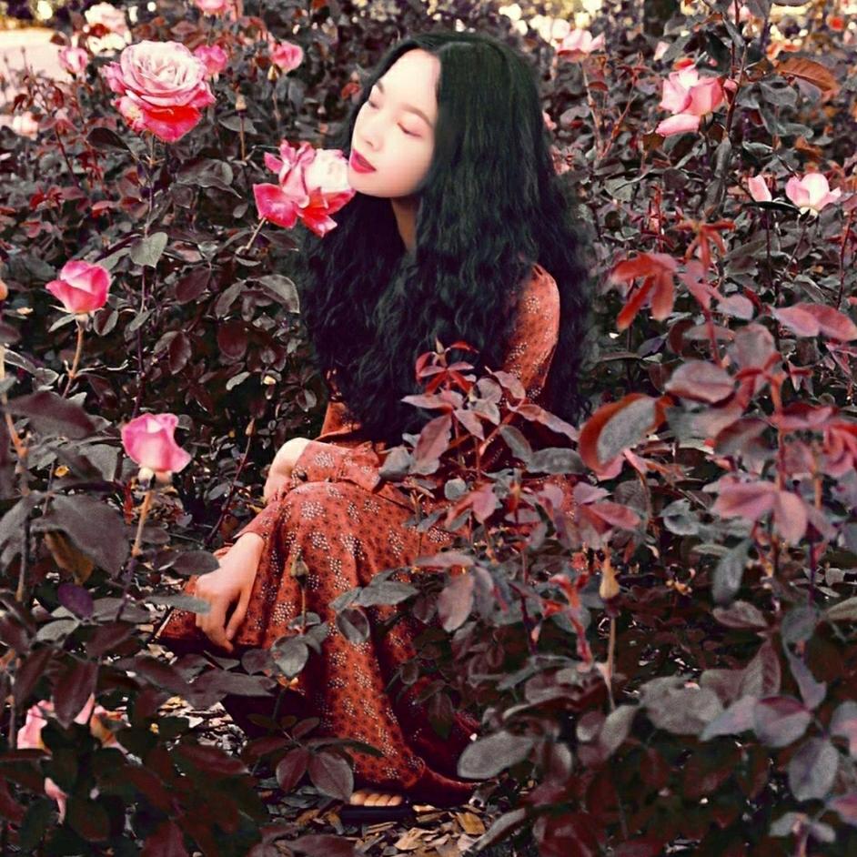 芬芳