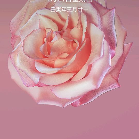 宁静的夏天