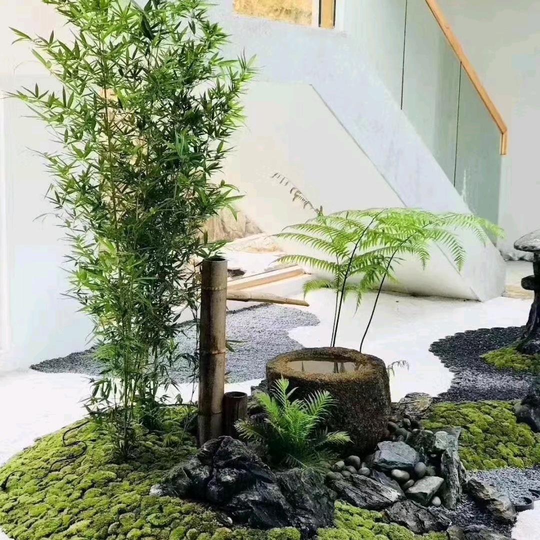 南昌绿植花卉送货上门，绿植租赁，