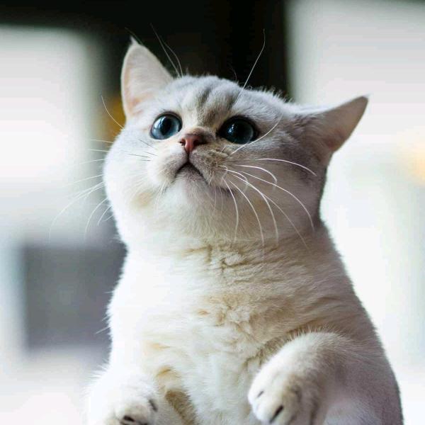 小刘刘、旅游攻略