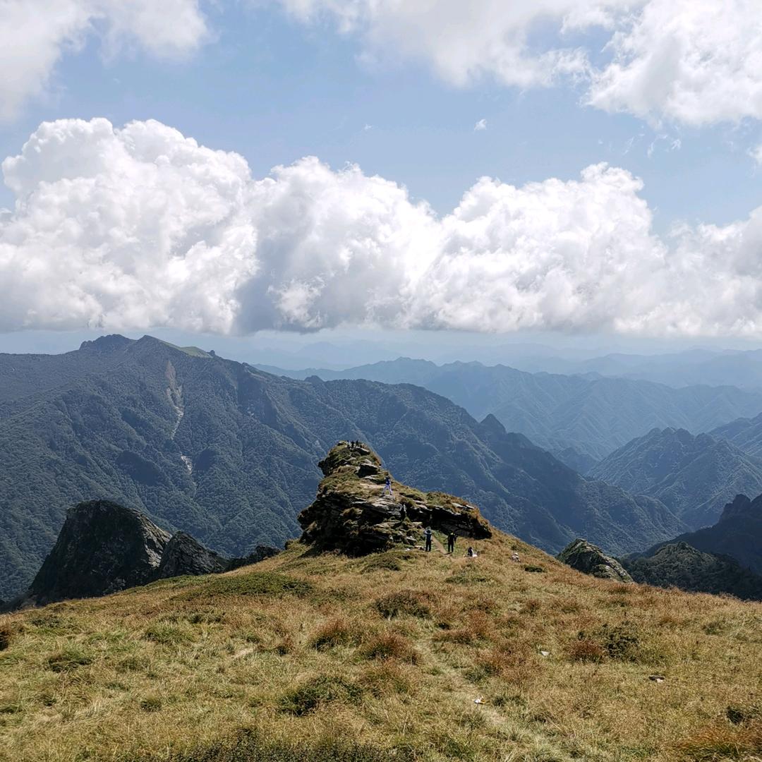 山里老好