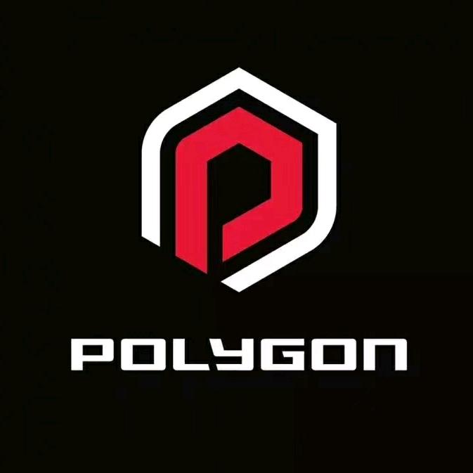 POLYGON自行车
