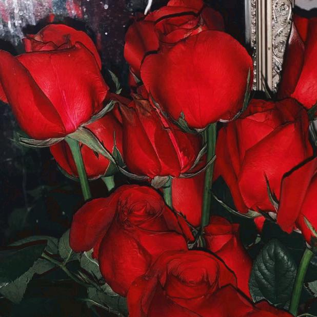 ❤️千里相会💖