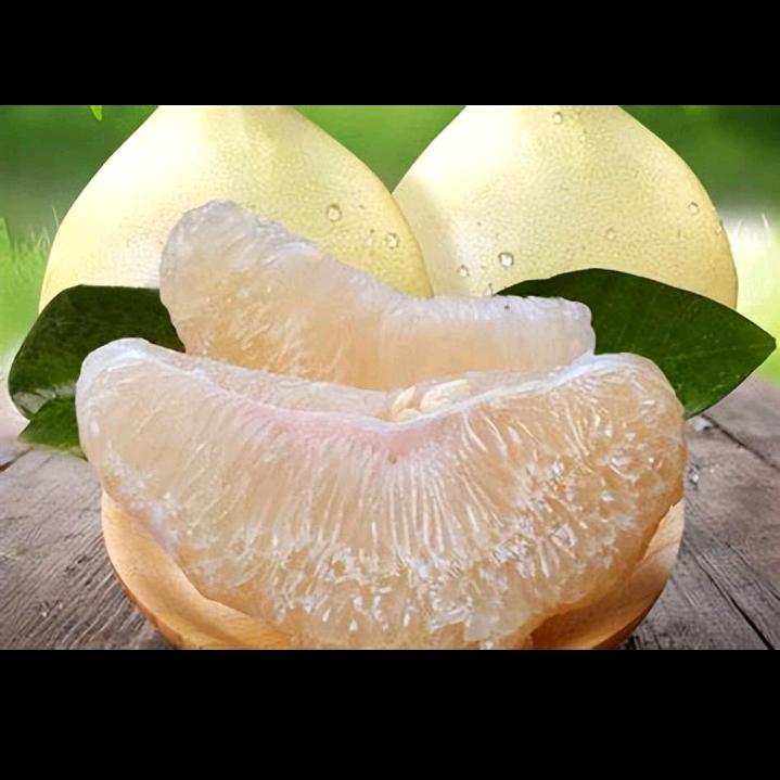 小杨果蔬
