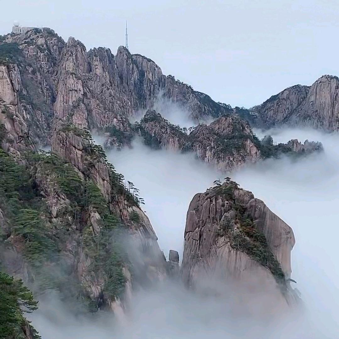 郑（随缘）