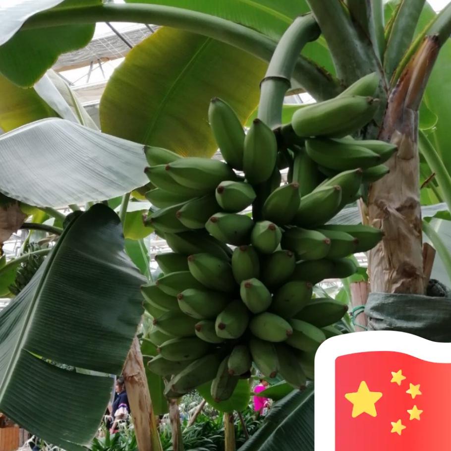 瑞瑞