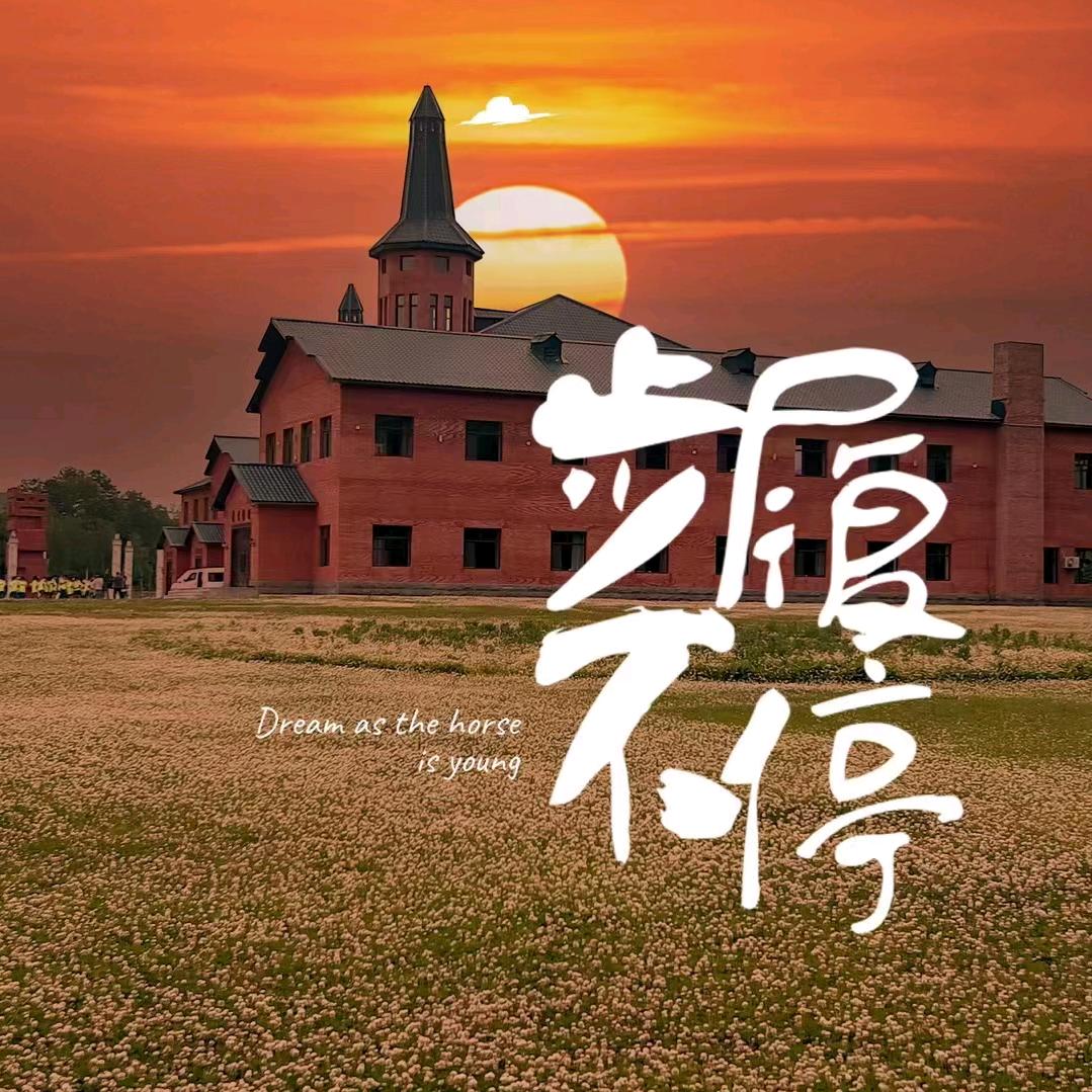 爱静无声