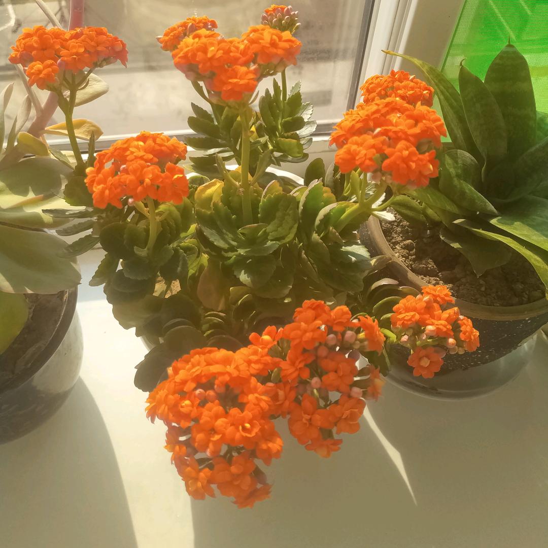 原始点按摩中心