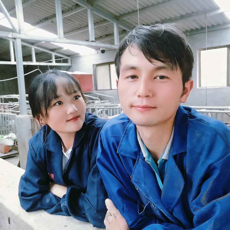 养殖小苹果