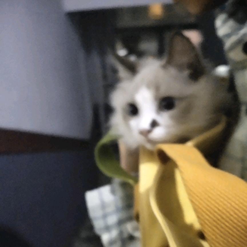 搂嘉嘉睡觉觉
