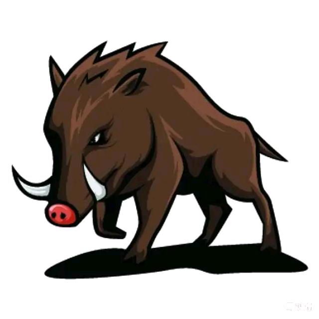 睿睿看世界