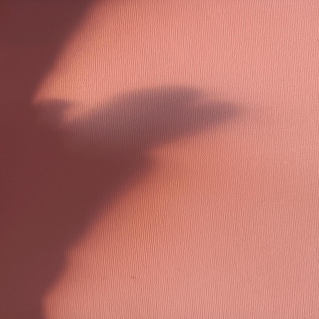 支持支持支持支持