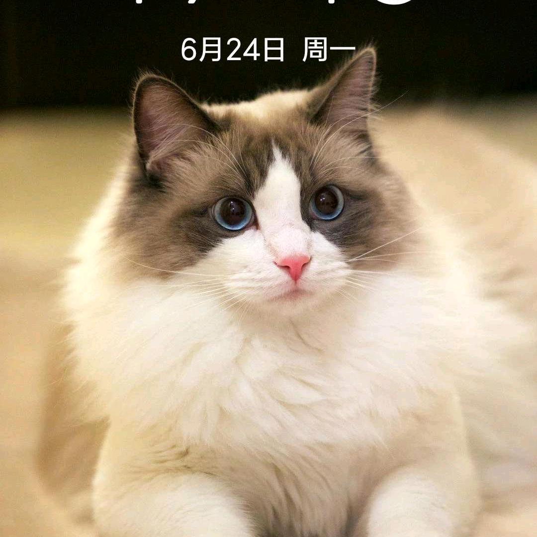 幸运星^