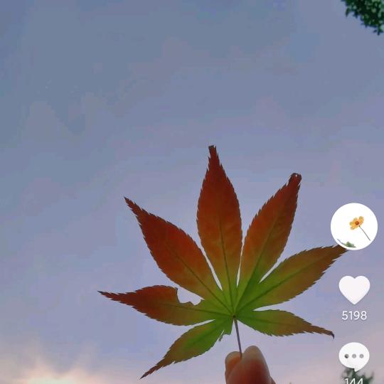 低调做人，低调做事。