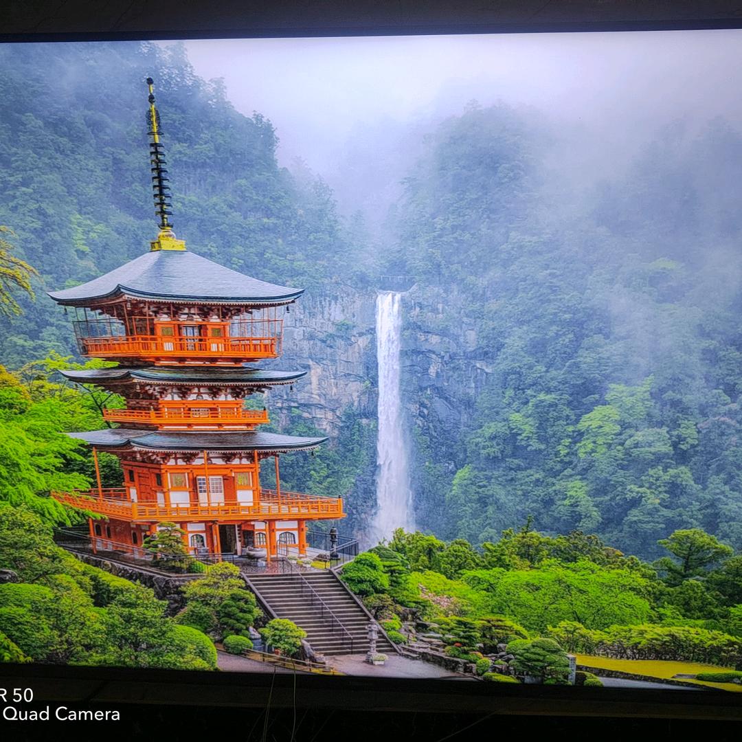 四处漂泊黎家人，小缺钙现缺爱。(46岁)