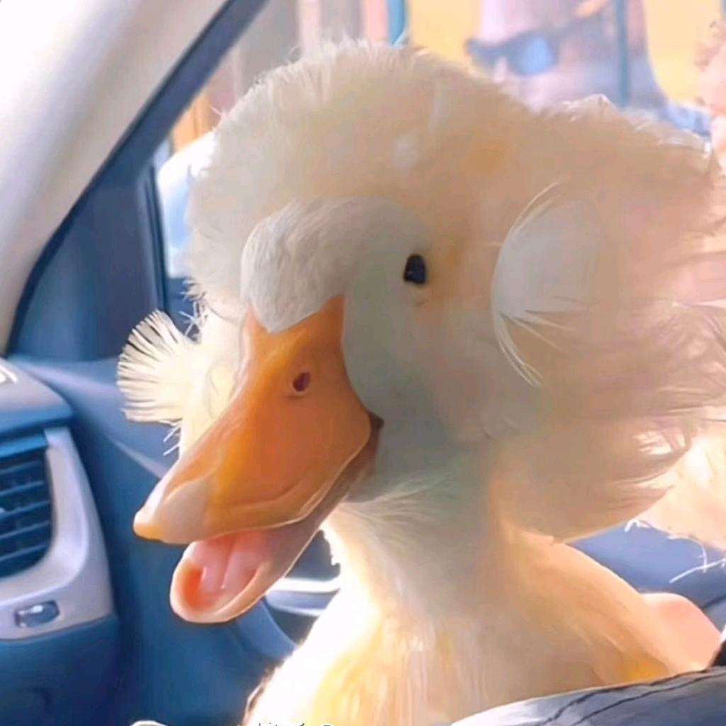哈哈哈一样