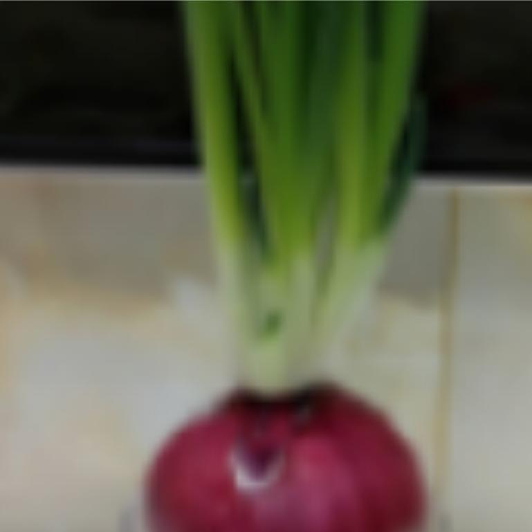 董月