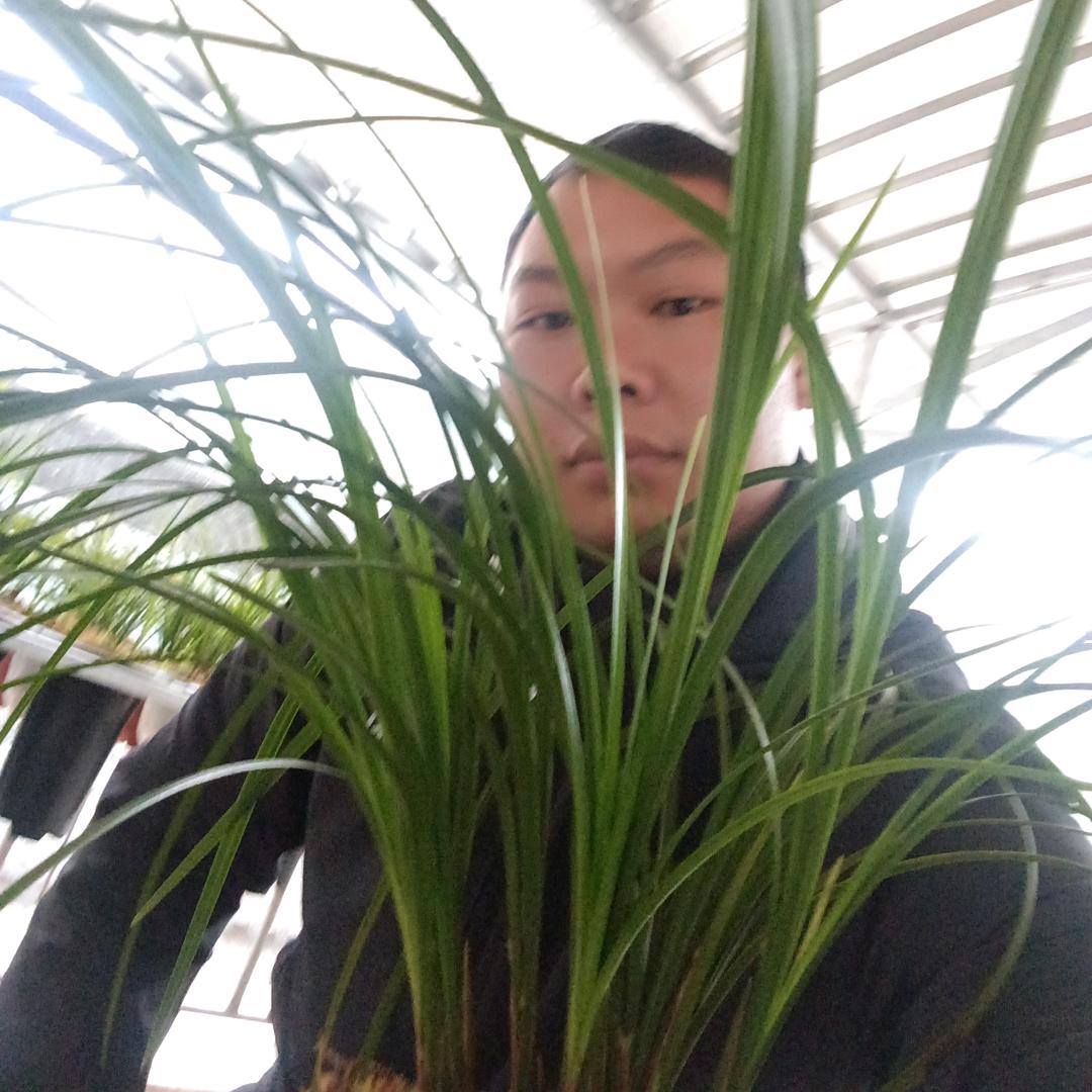 梦牵绕了谁的灵魂