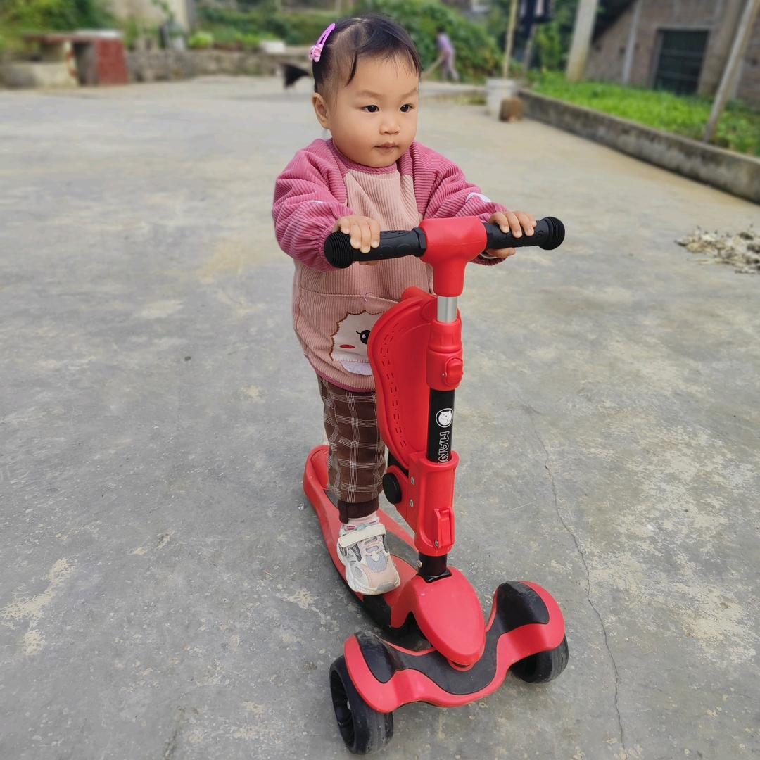 专业竹木工程建造