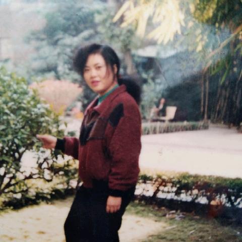 王月月